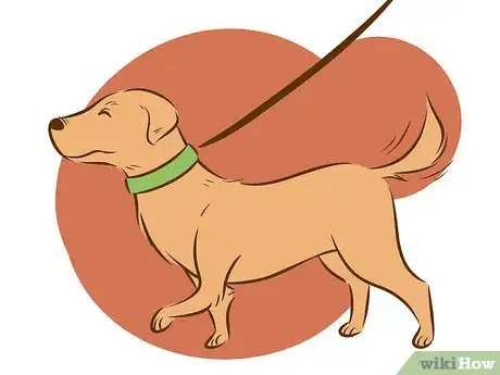 Image intitulée Stop a Dog from Humping Step 10