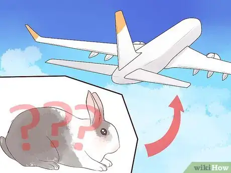 Image intitulée Transport a Rabbit Step 11