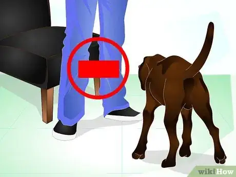 Image intitulée Stop Dog Marking Behaviors Step 10