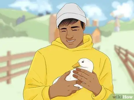Image intitulée Care for a Pet Duck Step 15