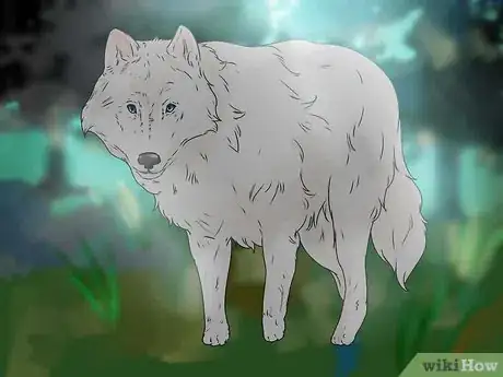 Image intitulée Own a Pet Wolf Step 4