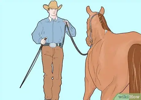 Image intitulée Care for a Pregnant Mare Step 6