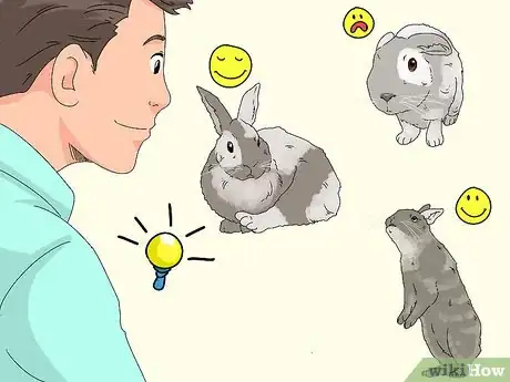 Image intitulée Care for a Rabbit Step 24
