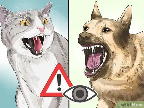 Image intitulée Know if a Pet Bite Is Serious Step 12
