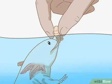 Image intitulée Care for an Axolotl Step 6