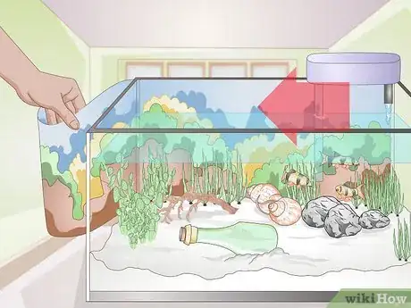Image intitulée Decorate a Fish Tank Step 12