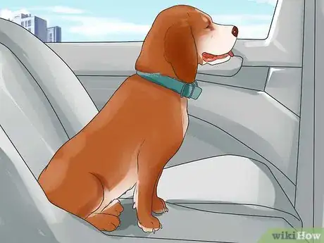 Image intitulée Deal With Your Dog's Fear of Vehicles Step 14