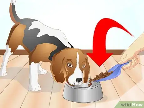 Image intitulée Determine if Your Dog Has Food Allergies Step 5