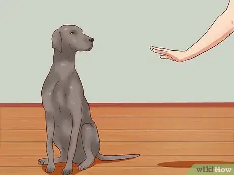 Image intitulée Teach Your Dog Basic Commands Step 5