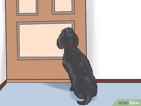 Image intitulée Care for a Toy Poodle Step 26