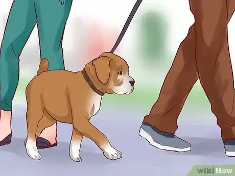 Image intitulée Train a Boxer Puppy Step 6
