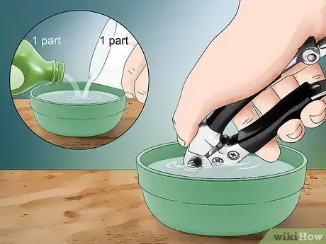Image intitulée Prune a Gardenia Bush Step 5