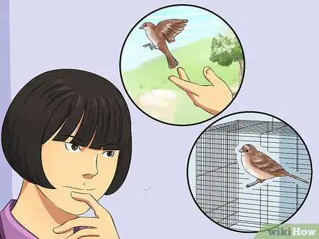 Image intitulée Care for an Injured Wild Bird That Cannot Fly Step 17