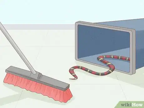 Image intitulée Get Rid of Snakes Step 3