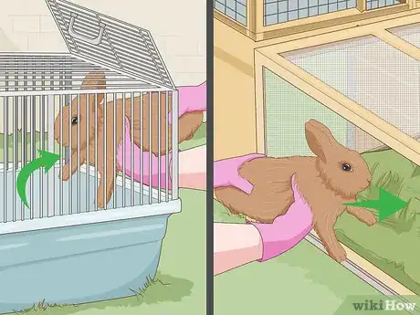 Image intitulée Care for a New Pet Rabbit Step 5