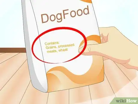 Image intitulée Determine if Your Dog Has Food Allergies Step 4