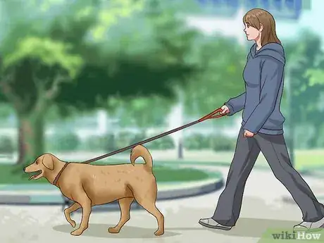 Image intitulée Get Dogs to Stop Barking Step 15