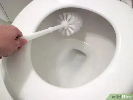 Image intitulée Use A Toilet Brush Step 1