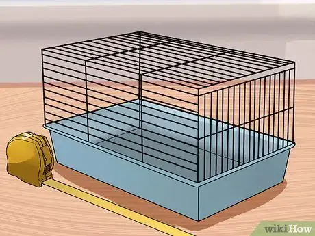 Image intitulée Care for Baby Guinea Pigs Step 1
