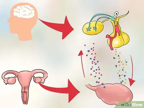 Image intitulée Determine First Day of Menstrual Cycle Step 11