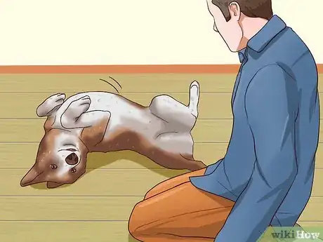 Image intitulée Get Dogs to Stop Barking Step 16