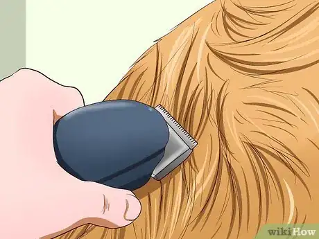 Image intitulée Clean Your Cat When He Can't Do It Himself Step 10