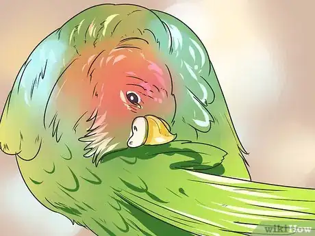 Image intitulée Give Your Budgie a Bath Step 11