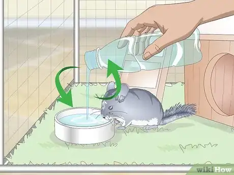 Image intitulée Care for Chinchillas Step 13