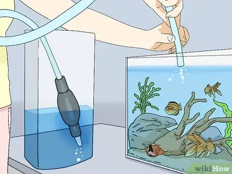 Image intitulée Lower Ammonia Levels in Your Fish Tank Step 2