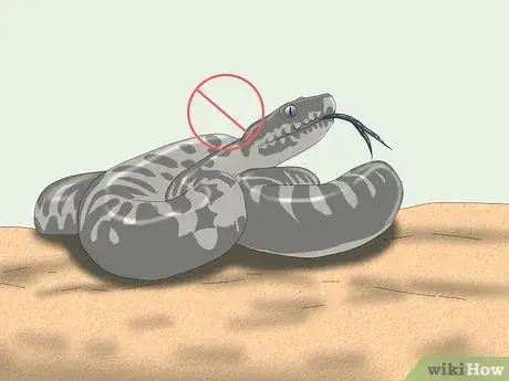 Image intitulée Hold a Snake Step 5