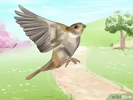 Image intitulée Raise a Baby House Sparrow Step 16
