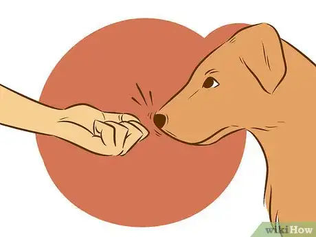 Image intitulée Stop a Dog from Humping Step 15