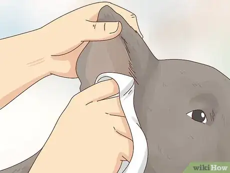 Image intitulée Care for a Labrador Retriever Step 7