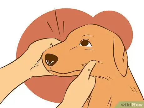 Image intitulée Stop a Dog from Humping Step 12