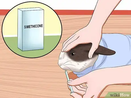 Image intitulée Treat Digestive Problems in Rabbits Step 13
