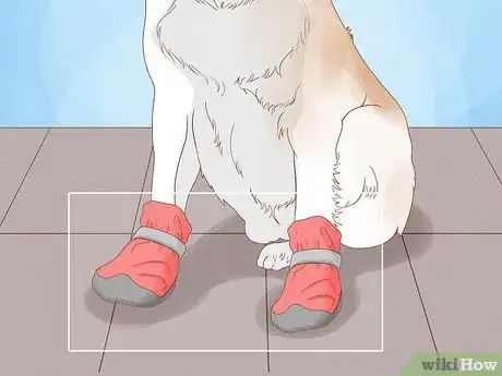 Image intitulée Stop a Dog from Licking Its Paws with Home Remedies Step 10