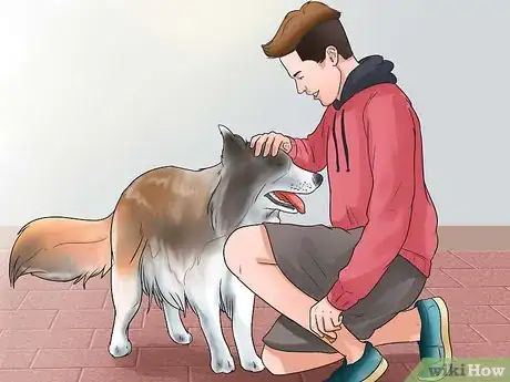 Image intitulée Train an Aggressive Dog Step 11