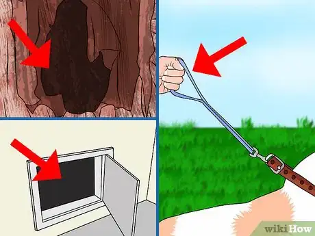 Image intitulée Remove Porcupine Quills Step 27