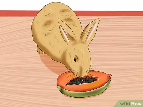 Image intitulée Treat Digestive Problems in Rabbits Step 14