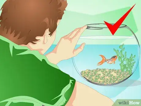 Image intitulée Change the Water in a Fish Bowl Step 14