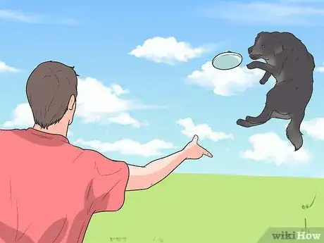 Image intitulée Stop a Dog Barking at Other Dogs Step 15