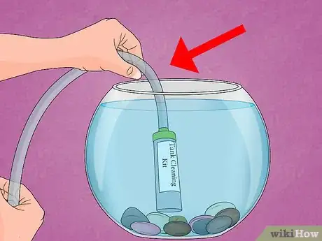 Image intitulée Fix Swim Bladder Disease in Goldfish Step 12