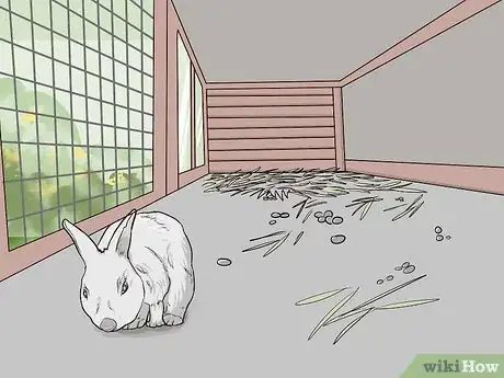 Image intitulée Clean a Rabbit Hutch Step 1