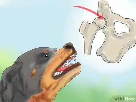 Image intitulée Train an Aggressive Dog Step 18