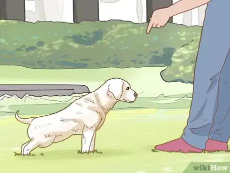 Image intitulée Treat Your Dog Step 6