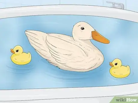 Image intitulée Care for a Pet Duck Step 16