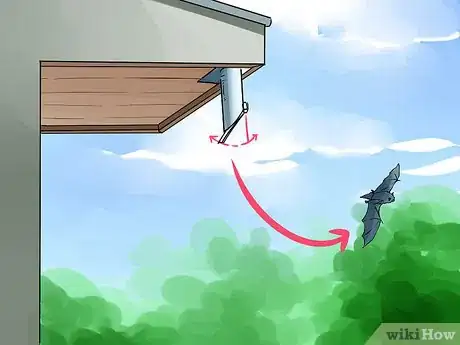 Image intitulée Get Rid of Bats Step 7