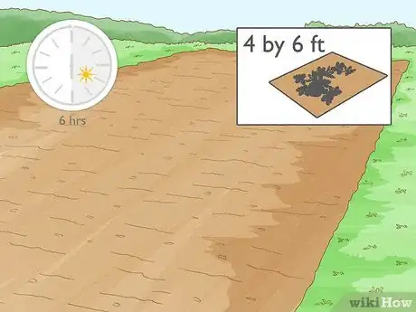 Image intitulée Grow Watermelons Step 2