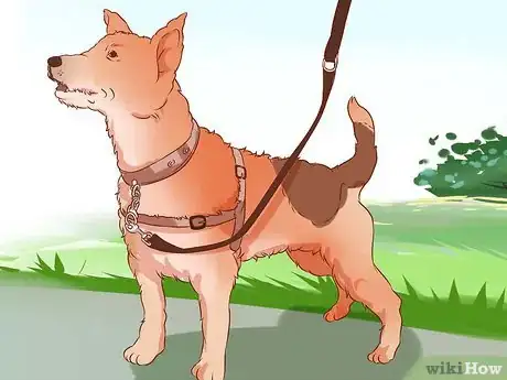 Image intitulée Stop a Dog from Pulling on Its Leash Step 12