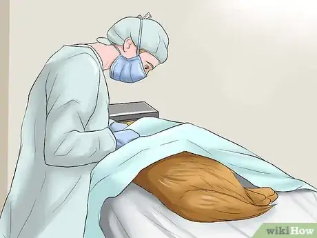Image intitulée Clean a Dog's Wound Step 14